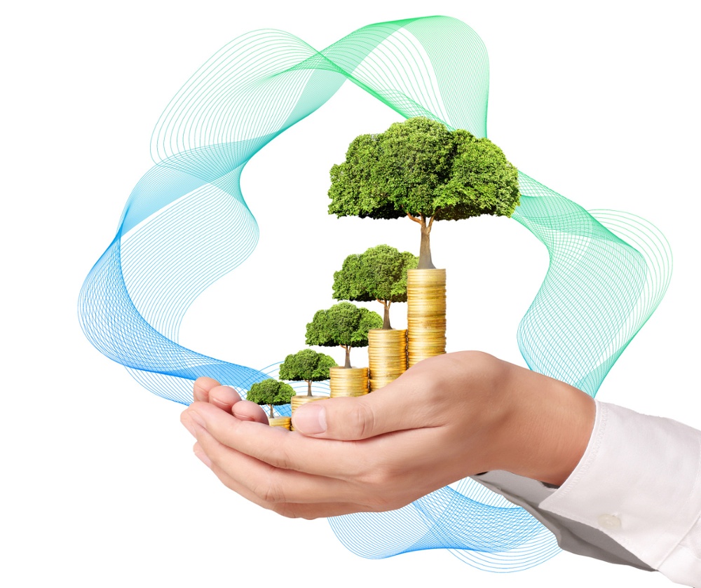 24-JDP-Finance-2025-Health-Advice-Study-Data-Wave-1