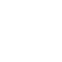 Computer icon