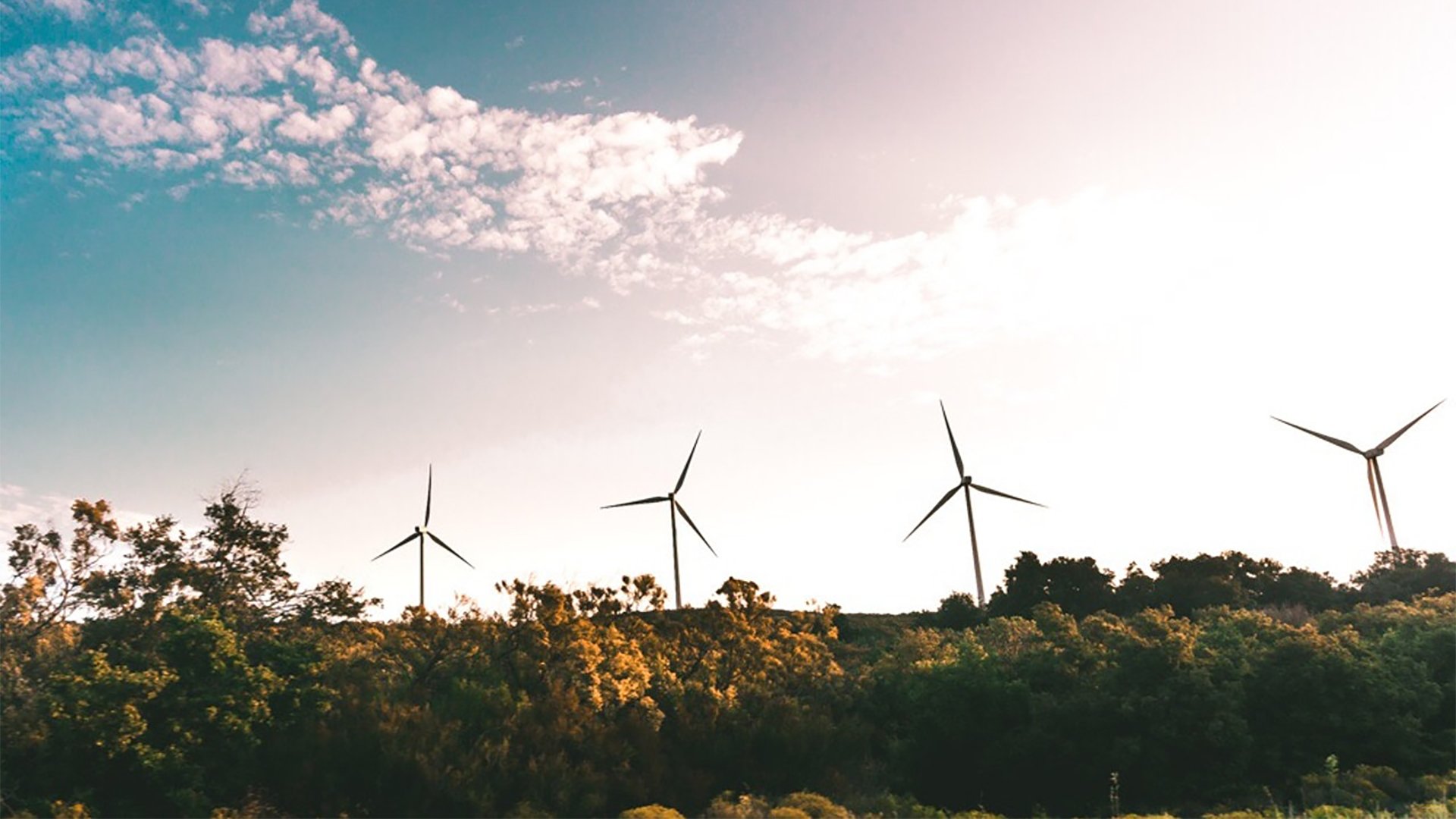 windmill-near-green-trees-691458-1920x1080-1